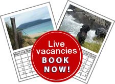 Late Availability Cottages